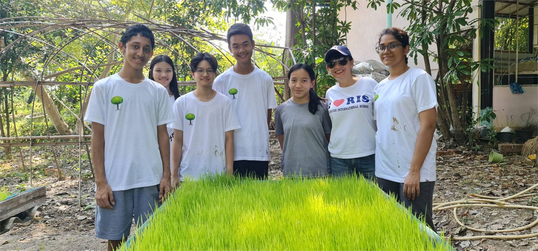 Students standing behind trays of rice seedlings